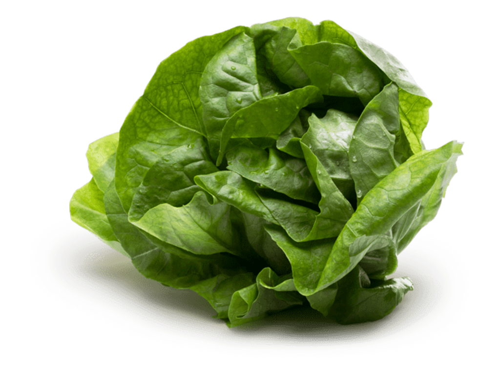 Dole Butter Lettuce Vegetable