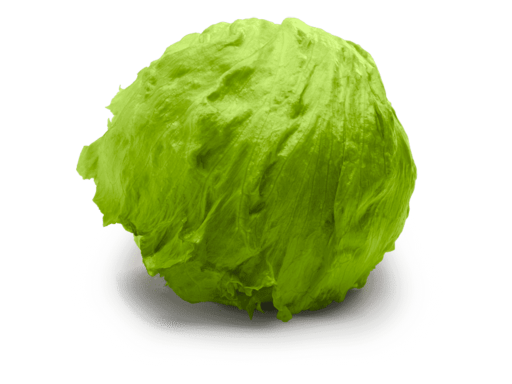 Dole Iceberg Vegetable