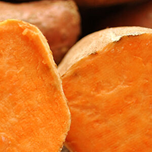 1A_DNN_Tubers_vs_Tuberculosis1338x460