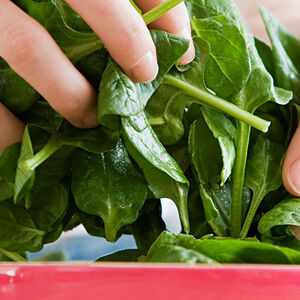 1A-Spinach_Spotlight-1338x460