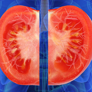 1A-Tomato_Time-1338x460_v1_current