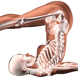 1B_DNN_bone-deep-fat-1338x460