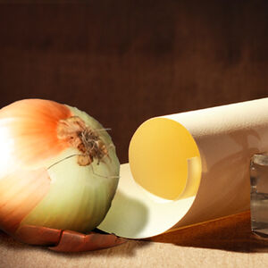 1B_DNN_ode-to-onions-1338x460