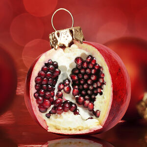 1B_painless-pomegranate_1338x460