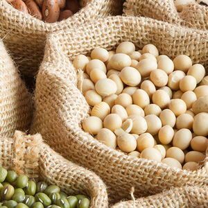 1B-Popular_Plant_Protein-1338x460