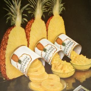 Castle & Cooke acquires the Dole Food Company, 