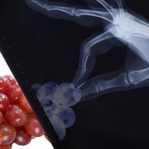 2A_grape-expectations_1338x460