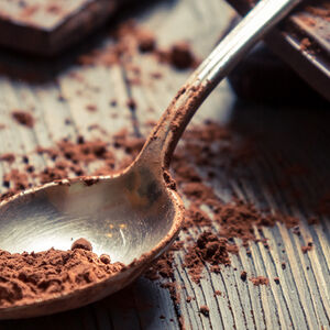 2B-Chocolate_for_Cognition-1338x460