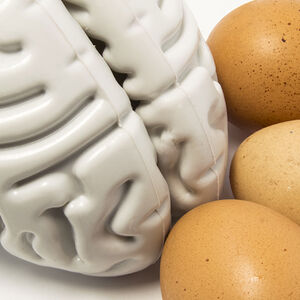 2B-Choline_and_Brain_Development-1338x460