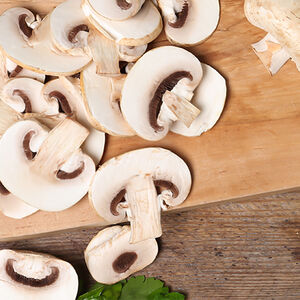 2B The Magic of Mushrooms