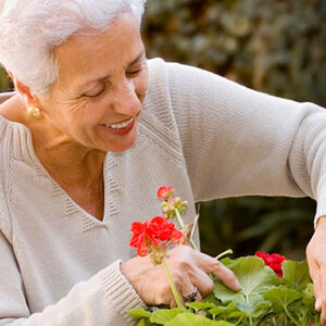 2C_DNN_meaning-vs-mortality-1338x460