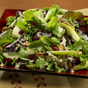 Baby Romaine with Green Apple Walnuts and Dried Cranberries1200