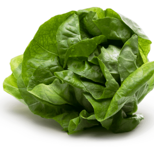 Dole Butter Lettuce Vegetable