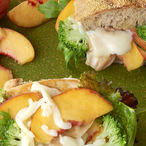 Chicken-Broccoli-Panini-12x6