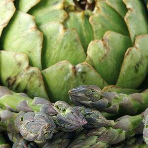 DNN-Welcome-spring-vegetables