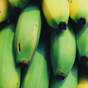 How many types of bananas are there?