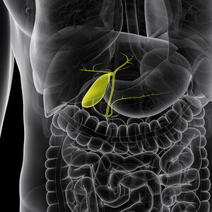 Gallbladder_Health-1338x460