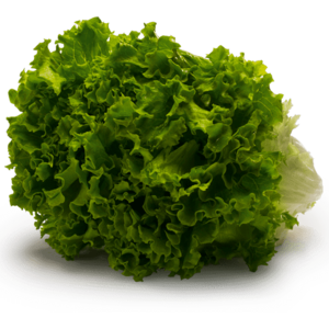 Dole Green Leaf Lettuce Vegetable