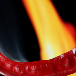 Hello_hotness-1338x460