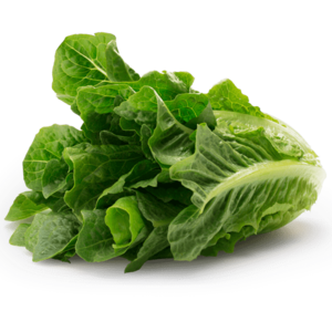 Dole Romain Lettuce Vegetables