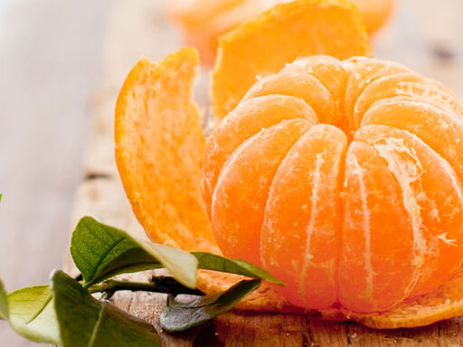 1A-Citrus_Curbs_Obesity_Risks-1338x460