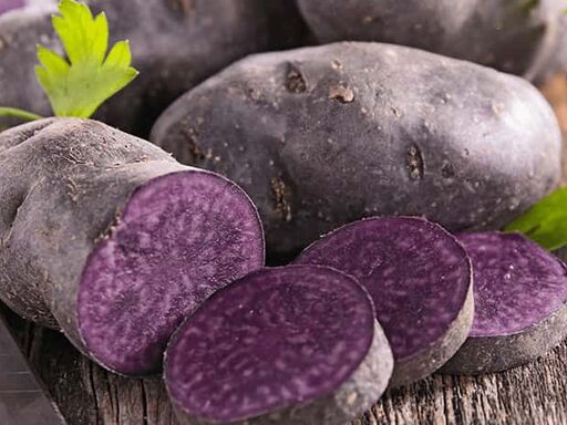 1A-Go_Further_with_Food-1338x460