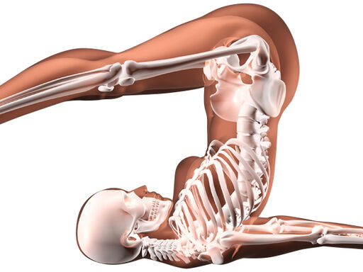 1B_DNN_bone-deep-fat-1338x460