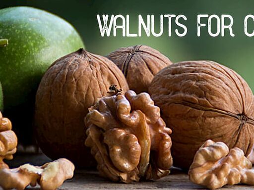 1B-Walnuts_for_Colon_Health-1338x460