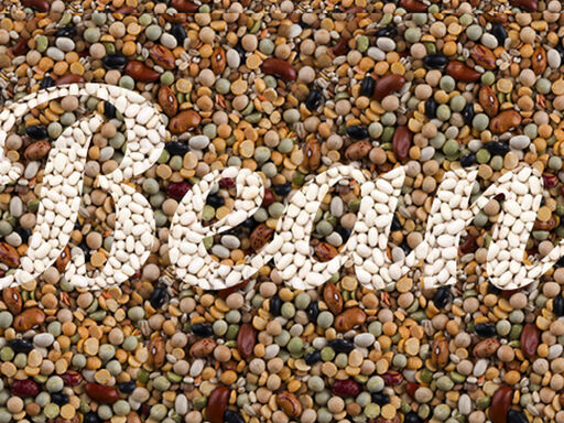 1C_DNN_bean-bonanza1338x460