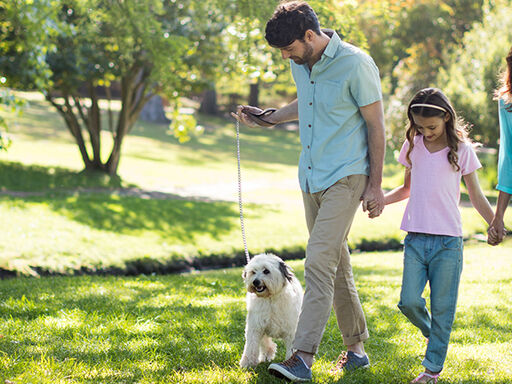 1C-Green_Does_A_Lot_of_Good-1338x460