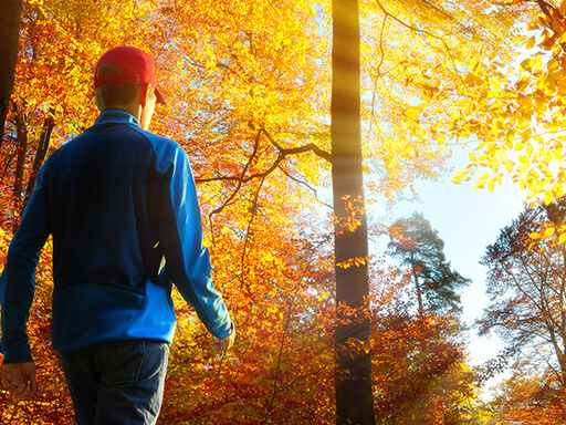 Tis the Season to Stay Fit