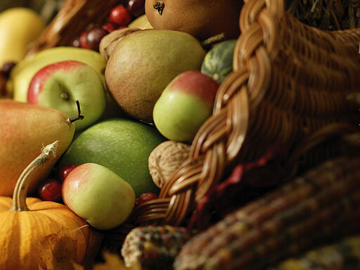 2A-Give_Thanks_for_Fruits_and_Vegetables-1338x460