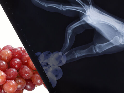 2A_grape-expectations_1338x460