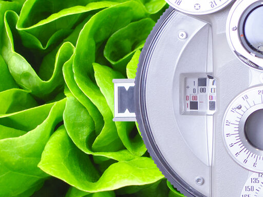 2A-Salads_for_good_vision_1338x460