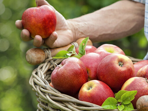 2B_apples-vs-arthritis_1338x460