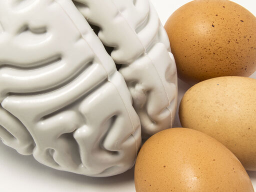 2B-Choline_and_Brain_Development-1338x460