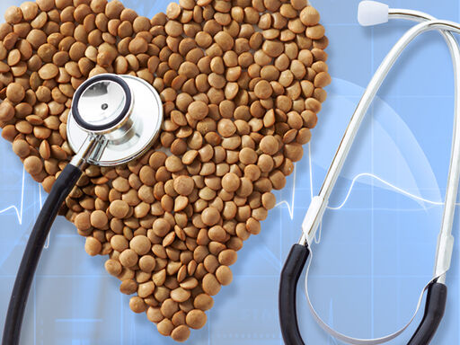 2B_DNN_lofty-legumes1338x460