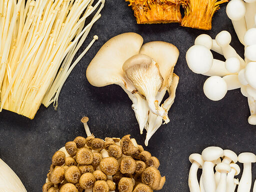 2B-Mushroom_Fever-1338x460