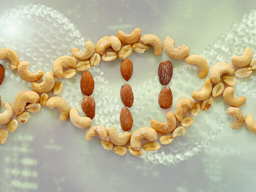 2B-Zinc_May_Protect_DNA-1338x460