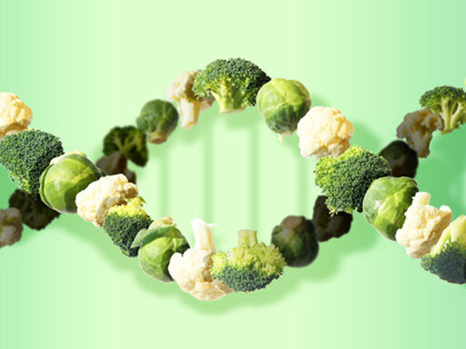 2C_DNN_put-your-green-genes-on_1338x460