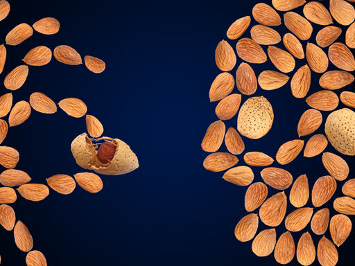 Almonds-vs-Osteoporosis