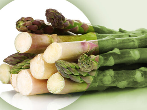 Amazing-Asparagus