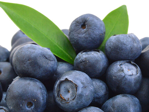 Berry Good for Diabetes- website header