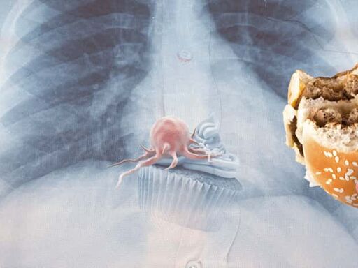 Eat_Big_Feed_Tumors_1338x460