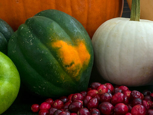 Fall for Fruits and Vegetables- web
