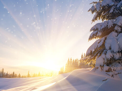 Featured_Article-Welcome_Winter-1338x460