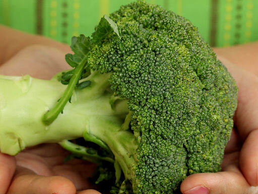 Fiber-Defense-1338x460