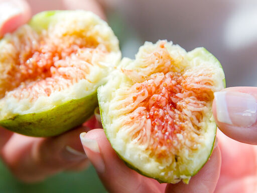 Give_a_fig_about_health-1338x460