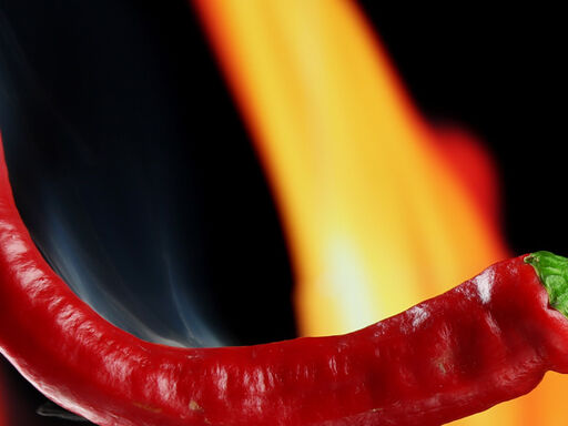 Hello_hotness-1338x460