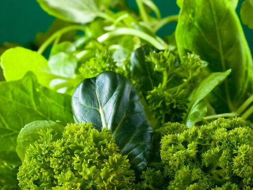 Powerhouse_top_ten_list_of_most_nutritious_produce-1338x460